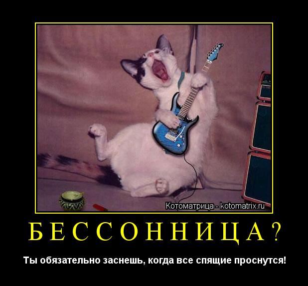 Котоматрица: БЕССОННИЦА? Ты обязательно заснешь, когда все спящие проснутся!