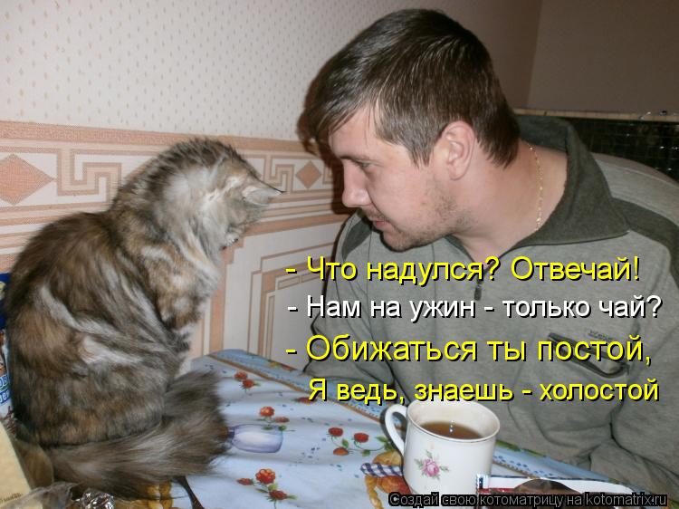 Котоматрица: - Что надулся? Отвечай! - Нам на ужин - только чай? - Обижаться ты постой, Я ведь, знаешь - холостой