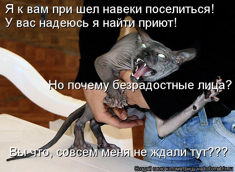 Котоматрица: Я к вам при шел навеки поселиться! У вас надеюсь я найти приют!  Но почему безрадостные лица?  Вы что, совсем меня не ждали тут???
