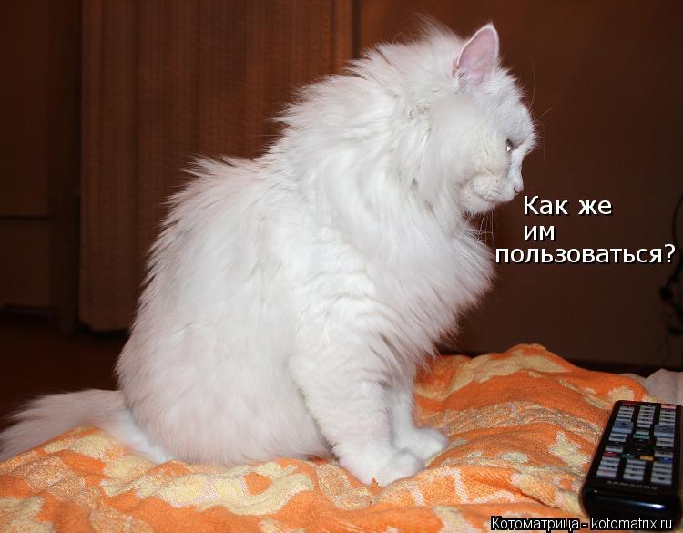 Котоматрица: Как же  им пользоваться?