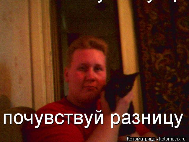 Котоматрица: почувствуй разницу ! почувствуй разницу !