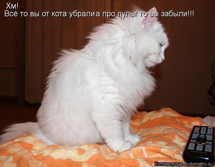 Котоматрица: Хм! Всё то вы от кота убрали а про пульт то вы забыли!!!