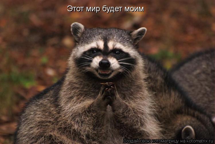 Котоматрица: Этот мир будет моим