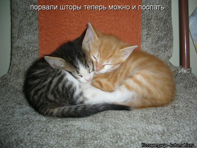 Котоматрица: порвали шторы теперь можно и поспать