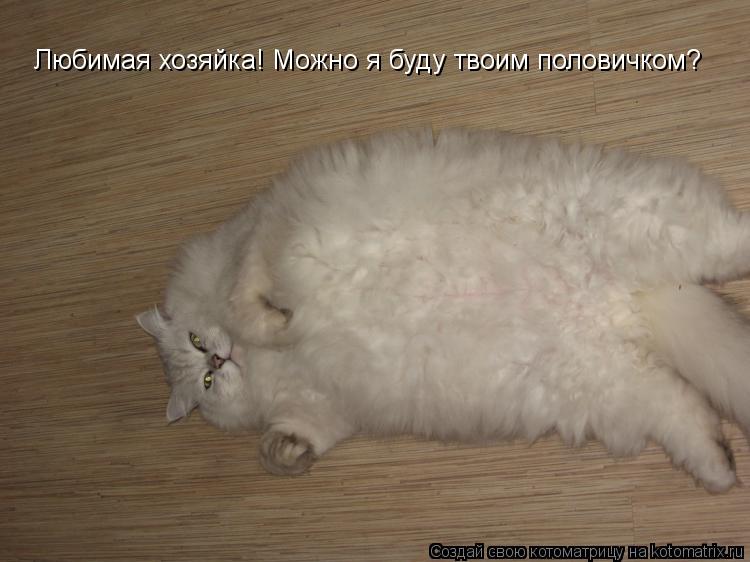 Котоматрица: Любимая хозяйка! Можно я буду твоим половичком?