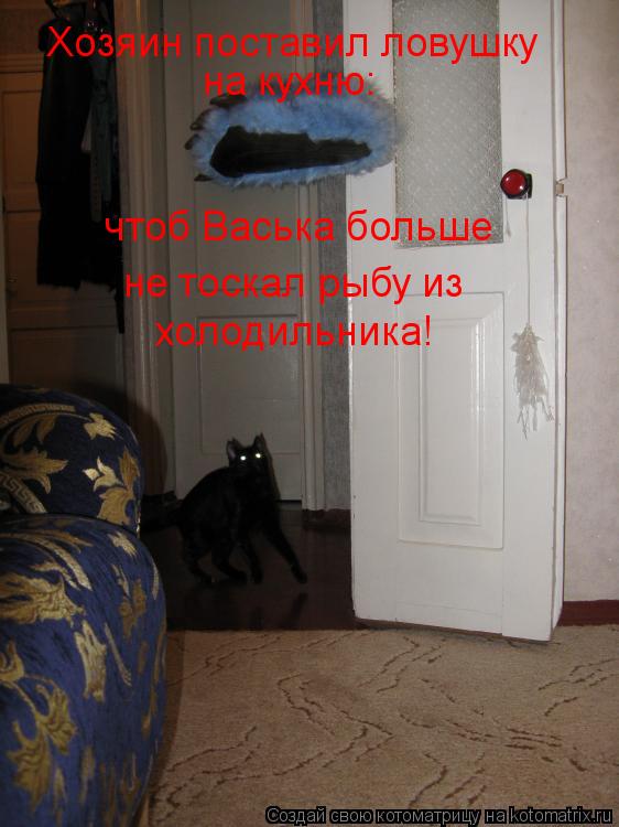 Котоматрица: Хозяин поставил ловушку на кухню: чтоб Васька больше не тоскал рыбу из холодильника!