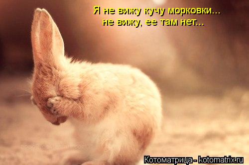 Котоматрица: Я не вижу кучу морковки... не вижу, ее там нет...