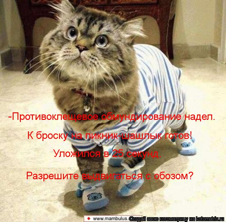 Котоматрица: -Противоклещевое обмундирование надел. К броску на пикник-шашлык готов! Уложился в 25 секунд. Разрешите выдвигаться с обозом?