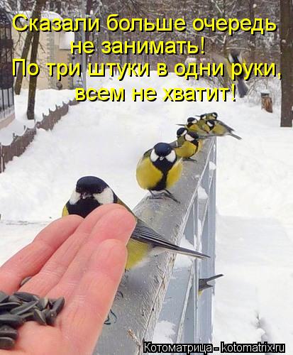 Котоматрица: Сказали больше очередь  не занимать!  По три штуки в одни руки, всем не хватит!
