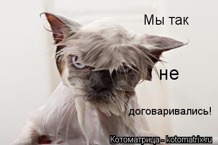 Котоматрица: Мы так   договаривались! не