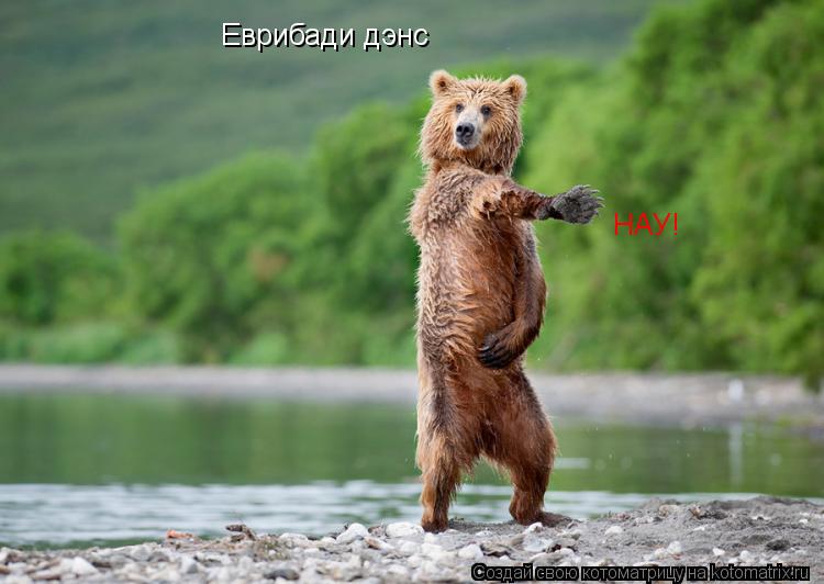 Еврибади дэнс НАУ!... Котоматрица: Еврибади дэнс НАУ!