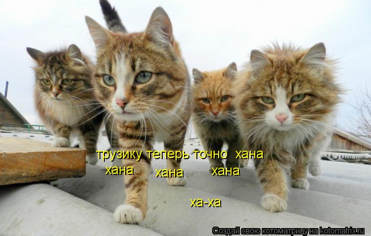 трузику теперь точно хана хана хана хана ха-ха... Котоматрица: трузику теперь точно хана хана хана хана ха-ха