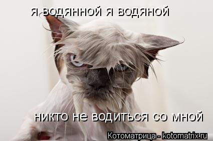 я водянной я водяной никто не водиться со мной... Котоматрица: я водянной я водяной никто не водиться со мной