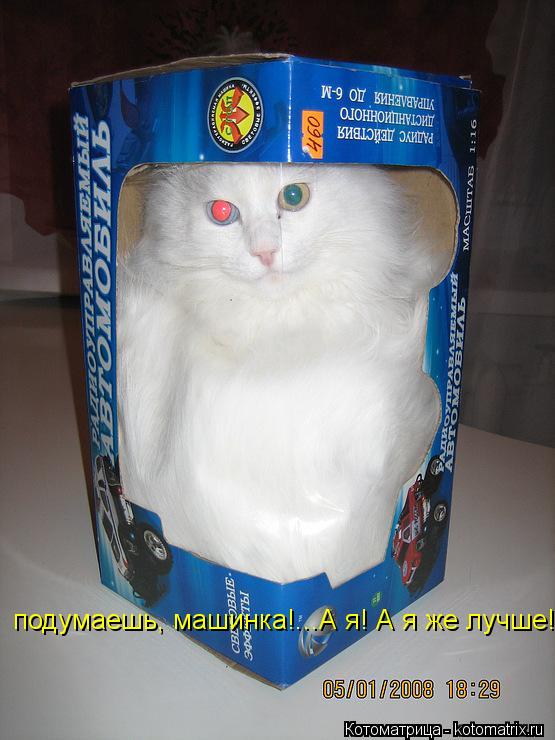 подумаешь, машинка!...А я! А я же лучше!... Котоматрица: подумаешь, машинка!...А я! А я же лучше!