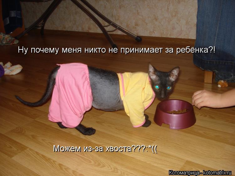 Ну почему меня никто не принимает за ребёнка?! Можем из-за хвоста???:*((... Котоматрица: Ну почему меня никто не принимает за ребёнка?! Можем из-за хвоста???:*((