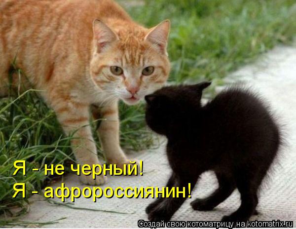 Котоматрица: Я - не черный! Я - афророссиянин!
