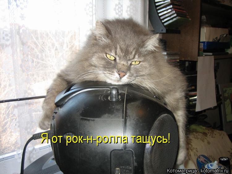 Я от рок-н-ролла тащусь! Я от рок-н-ролла тащусь!... Котоматрица: Я от рок-н-ролла тащусь! Я от рок-н-ролла тащусь!