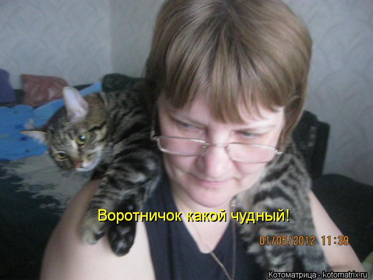 Воротничок какой чудный! Воротничок какой чудный!... Котоматрица: Воротничок какой чудный! Воротничок какой чудный!