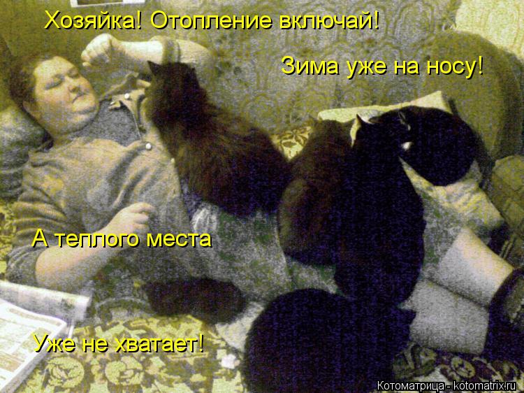 Хозяйка! Отопление включай! Зима уже на носу! А теплого места Уже не хватает!... Котоматрица: Хозяйка! Отопление включай! Зима уже на носу! А теплого места Уже не хватает!