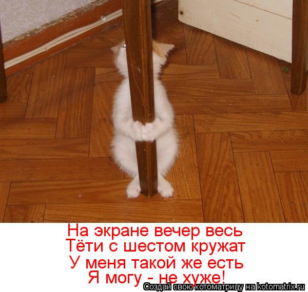 На экране вечер весь Тёти с шестом кружат У меня такой же есть Я могу - не хуже!... Котоматрица: На экране вечер весь Тёти с шестом кружат У меня такой же есть Я могу - не хуже!