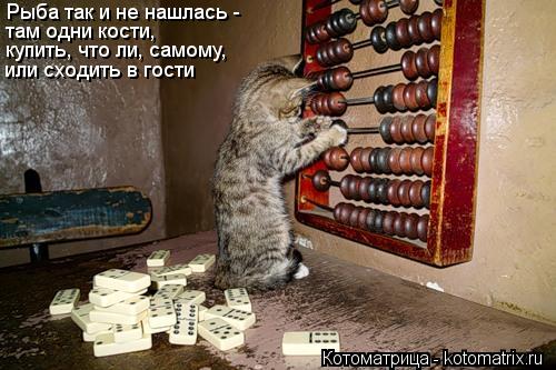 Рыба так и не нашлась - там одни кости, купить, что ли, самому, или сходить в гости... Котоматрица: Рыба так и не нашлась - там одни кости, купить, что ли, самому, или сходить в гости