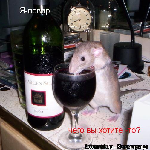 Я-повар чего вы хотите -то?... Котоматрица: Я-повар чего вы хотите -то?