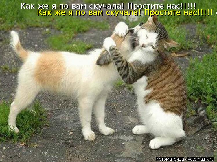 Как же я по вам скучала! Простите нас!!!!! Как же я по вам скучала! Простите нас!!!!!... Котоматрица: Как же я по вам скучала! Простите нас!!!!! Как же я по вам скучала! Простите нас!!!!!