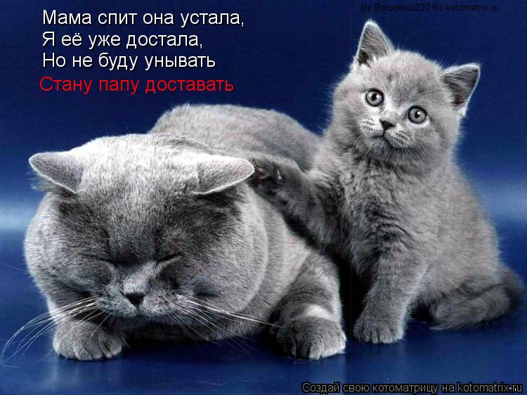 Мама спит она устала, Я её уже достала, Но не буду унывать Стану папу доставать By Василиса222 for ko... Котоматрица: Мама спит она устала, Я её уже достала, Но не буду унывать Стану папу доставать By Василиса222 for kotomatrix.ru