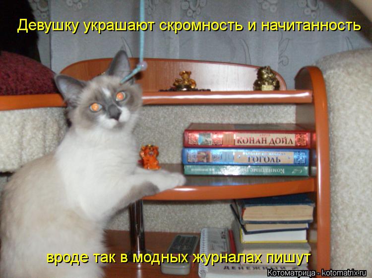 Котоматрица: Девушку украшают скромность и начитанность вроде так в модных журналах пишут