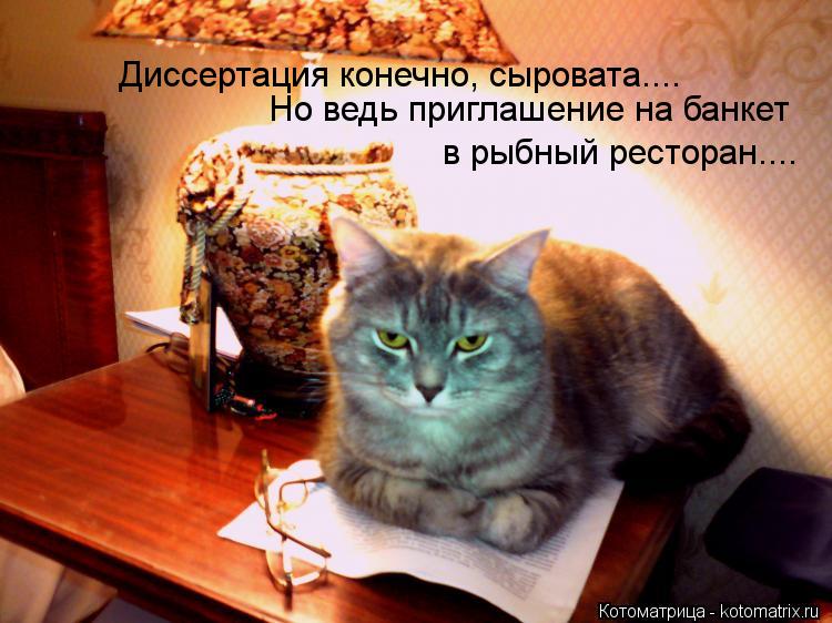 Котоматрица: Диссертация конечно, сыровата.... Но ведь приглашение на банкет  в рыбный ресторан....
