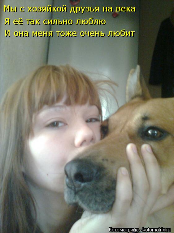 Котоматрица: Мы с хозяйкой друзья на века Я её так сильно люблю И она меня тоже очень любит