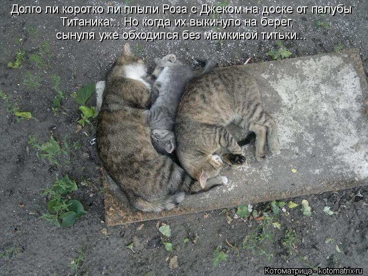 Долго ли коротко ли плыли Роза с Джеком на доске от палубы Титаника... Но когда их выкинуло на берег... Котоматрица: Долго ли коротко ли плыли Роза с Джеком на доске от палубы Титаника... Но когда их выкинуло на берег, сынуля уже обходился без мамкиной тить