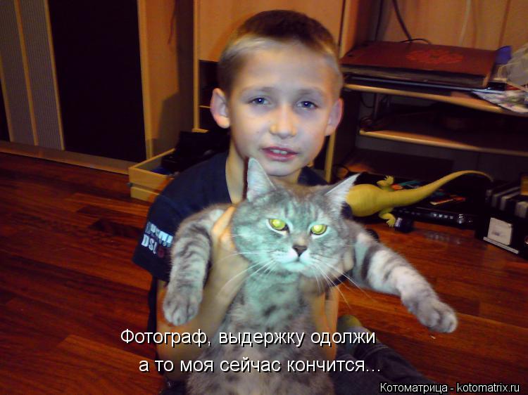 Котоматрица: Фотограф, выдержку одолжи а то моя сейчас кончится...