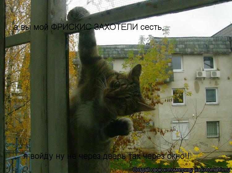 Котоматрица: а,вы ФРИСКИС ЗАХОТЕЛИ сесть я же войду ну не через дверь так через окно!! а,вы мой ФРИСКИС ЗАХОТЕЛИ сесть окно!! а,вы мой ФРИСКИС ЗАХОТЕЛИ сест