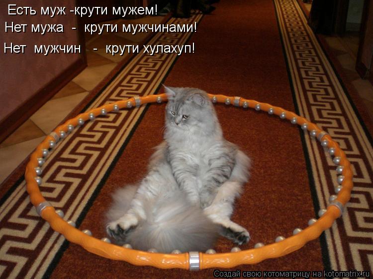 Котоматрица: Есть муж -крути мужем! Нет мужа  -  крути мужчинами! Нет  мужчин   -  крути хулахуп!