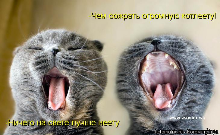 Котоматрица: -Ничего на свете лучше неету -Чем сожрать огромную котлеету!