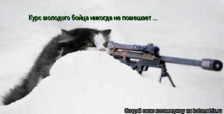 Котоматрица: Курс молодого бойца никогда не помешает ...