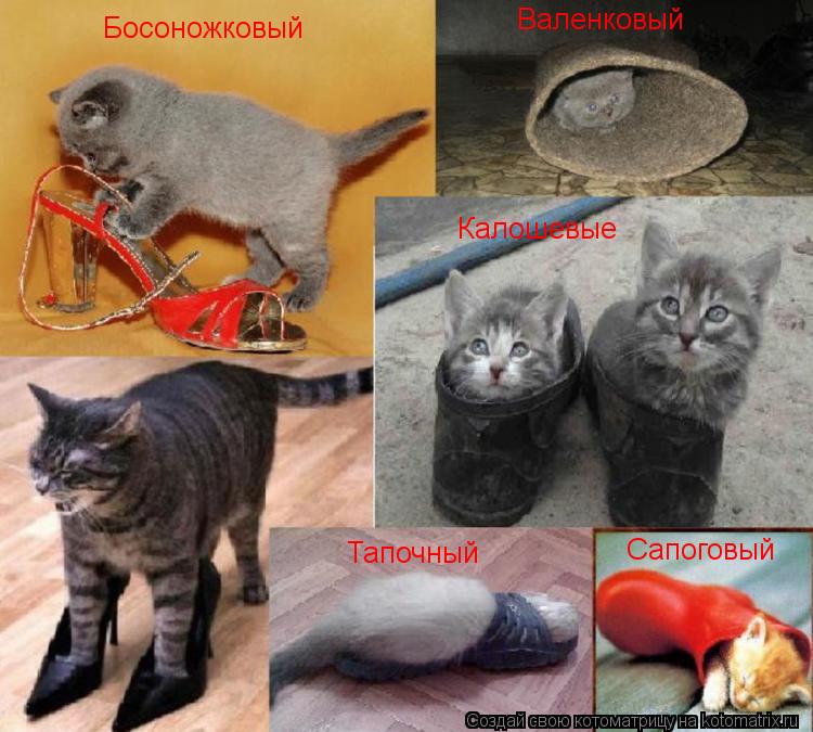 Котоматрица: Валенковый Босоножковый Калошевые Сапоговый Тапочный