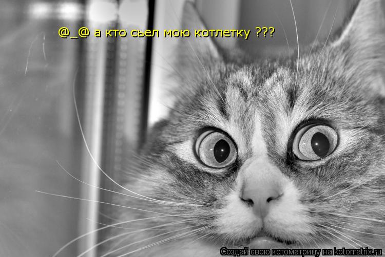 @_@ а кто сьел мою котлетку ???... Котоматрица: @_@ а кто сьел мою котлетку ???