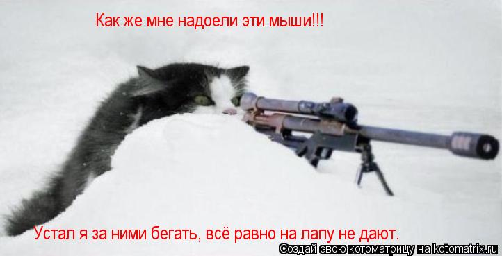 Как же мне надоели эти мыши!!! Устал я за ними бегать, всё равно на лапу не дают.... Котоматрица: Как же мне надоели эти мыши!!! Устал я за ними бегать, всё равно на лапу не дают.