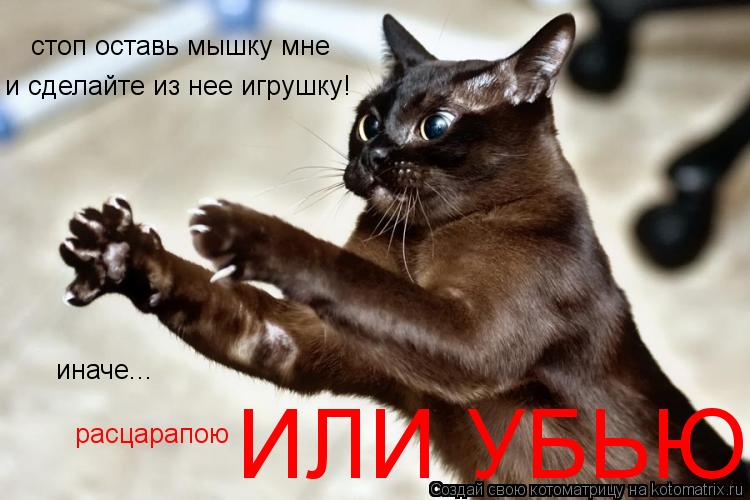 стоп оставь мышку мне и сделайте из нее игрушку! иначе... расцарапою ИЛИ УБЬЮ... Котоматрица: стоп оставь мышку мне и сделайте из нее игрушку! иначе... расцарапою ИЛИ УБЬЮ