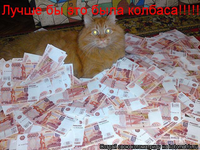 Лучше бы это была колбаса!!!!!... Котоматрица: Лучше бы это была колбаса!!!!!