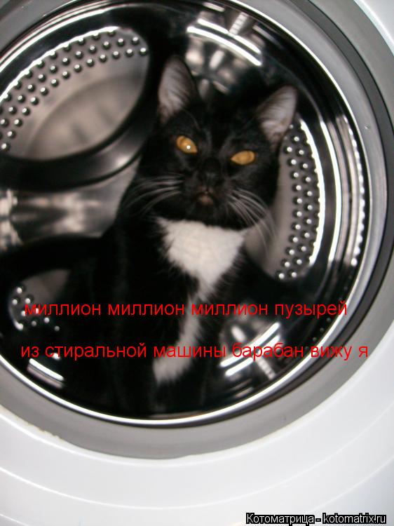 Котоматрица: миллион миллион миллион пузырей из стиральной машины барабан вижу я