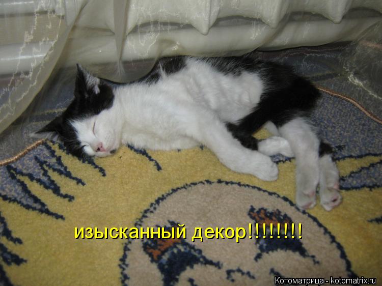 Котоматрица: изысканный декор!!!!!!!!