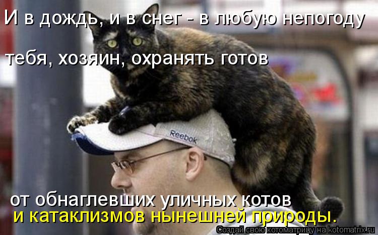 Котоматрица: И в дождь, и в снег - в любую непогоду тебя, хозяин, охранять готов  от обнаглевших уличных котов и катаклизмов нынешней природы.
