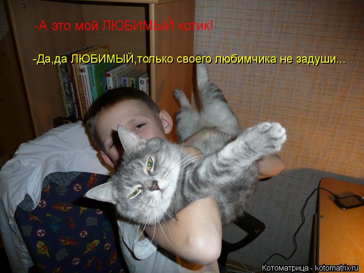 Котоматрица: -А это мой ЛЮБИМЫЙ котик! -Да,да ЛЮБИМЫЙ,только своего любимчика не задуши...