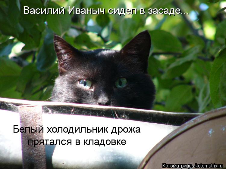 Василий Иваныч сидел в засаде... Белый холодильник дрожа прятался в кладовке... Котоматрица: Василий Иваныч сидел в засаде... Белый холодильник дрожа прятался в кладовке