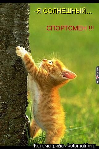 -Я СОЛНЕШНЫЙ... СПОРТСМЕН !!!... Котоматрица: -Я СОЛНЕШНЫЙ... СПОРТСМЕН !!!