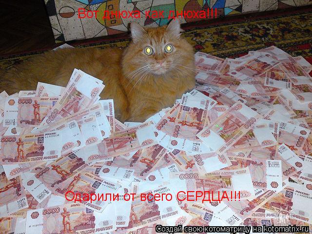 Вот днюха как днюха!!! Одарили от всего СЕРДЦА!!!... Котоматрица: Вот днюха как днюха!!! Одарили от всего СЕРДЦА!!!