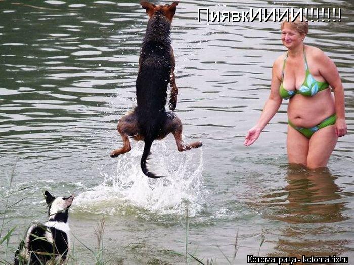 ПиявкИИИИ!!!!!!!... Котоматрица: ПиявкИИИИ!!!!!!!